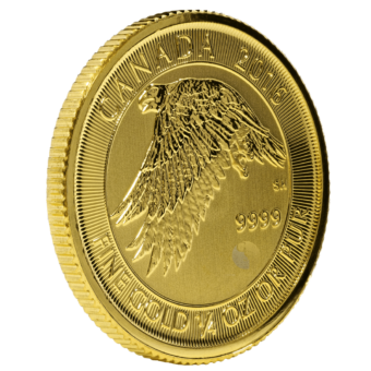 Gold Canadian Gyrfalcon Coin - 1/4 Ounce