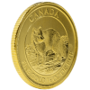 Gold Canadian Arctic Fox 1/4 Ounce Coin