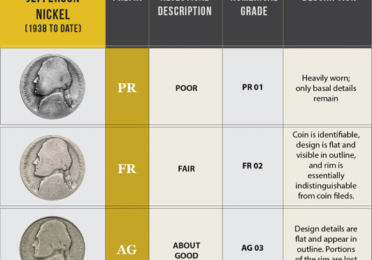 Sheldon Grading Scale featured image